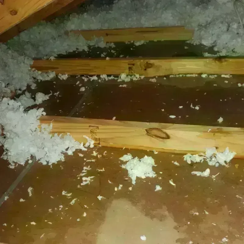 Attic Water Damage in Manteno, IL