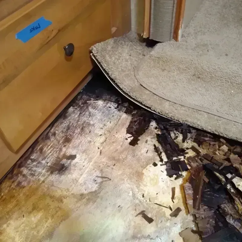 Wood Floor Water Damage in Manteno, IL